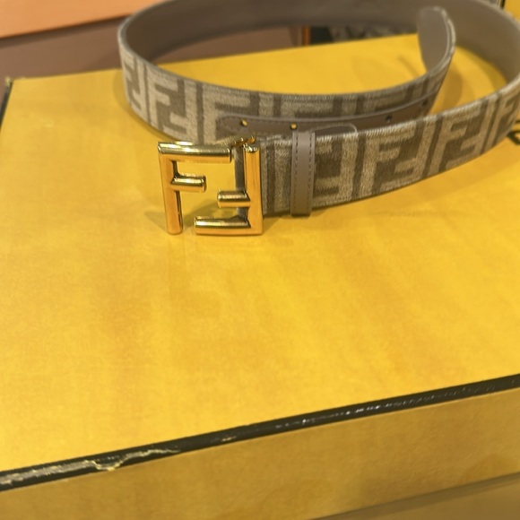 Fendi Brown and Gold women Belt Bag - Picture 13 of 17